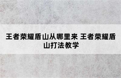 王者荣耀盾山从哪里来 王者荣耀盾山打法教学